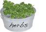 Bucket of Herbs